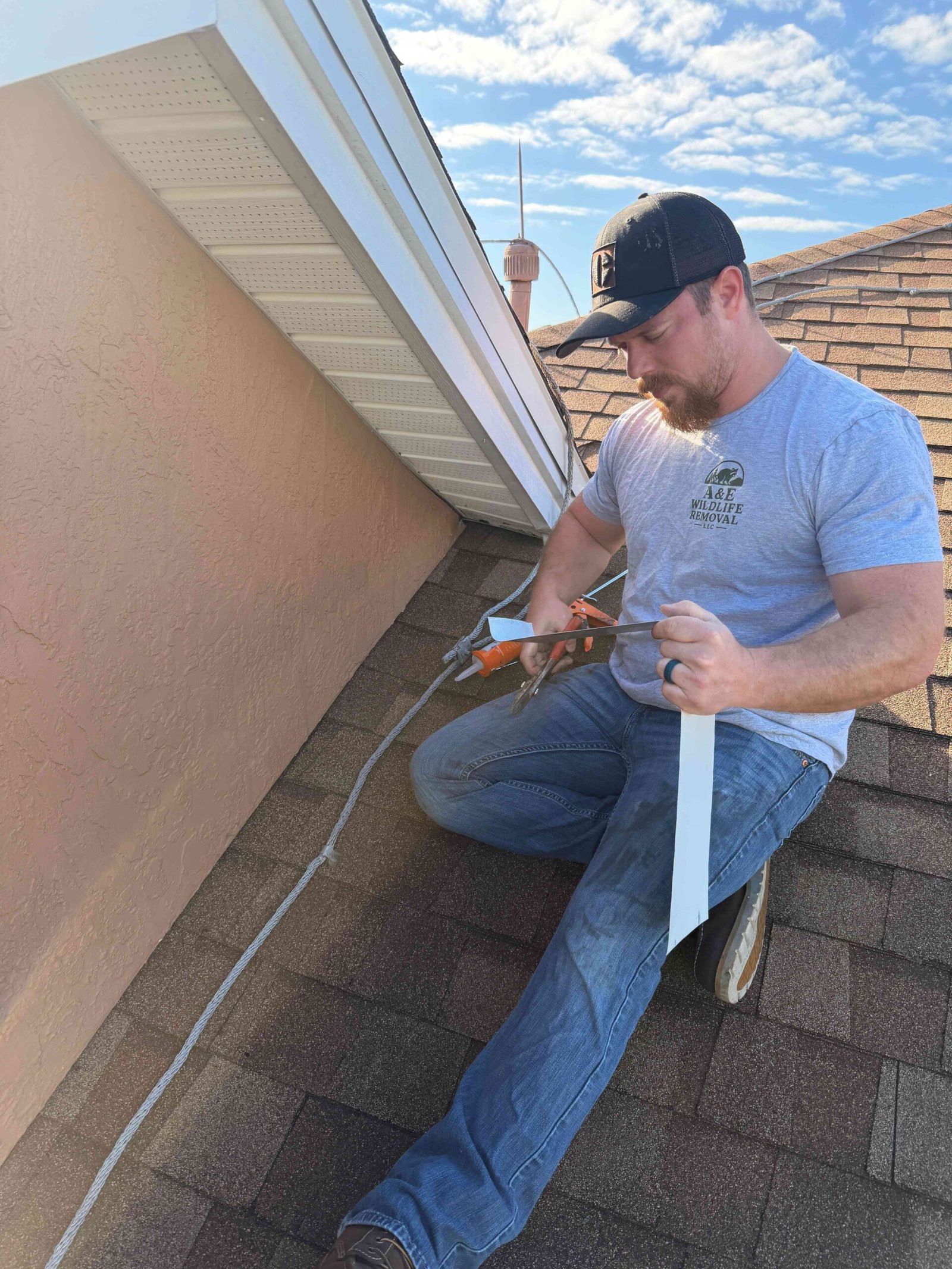 About A&E Wildlife Removal