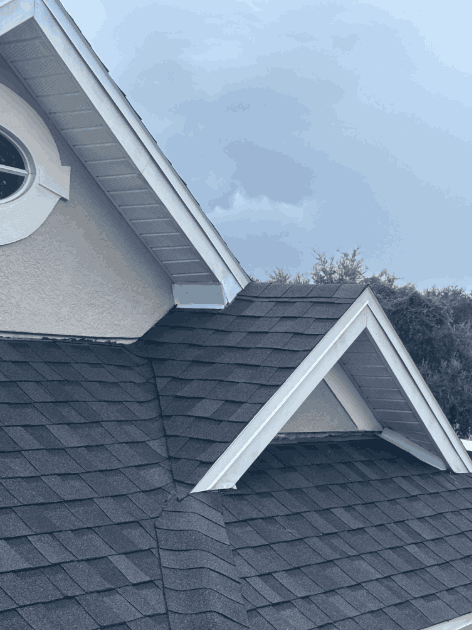 Home Protection & Exclusion